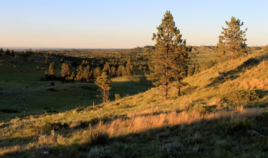 TBD Lone Rock Canyon Lane, Hysham MT 59076