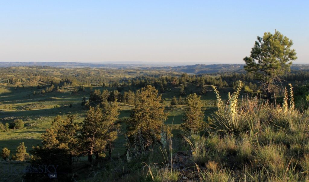 TBD Lone Rock Canyon Lane, Hysham MT 59076