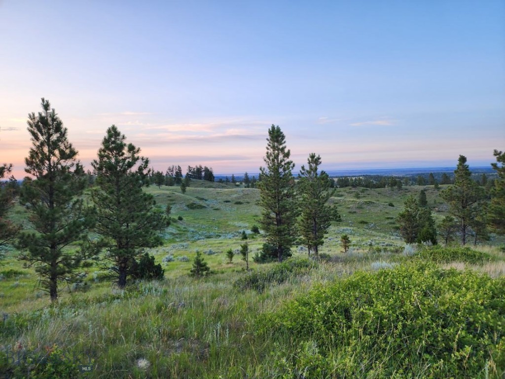 TBD Lone Rock Canyon Lane, Hysham MT 59076