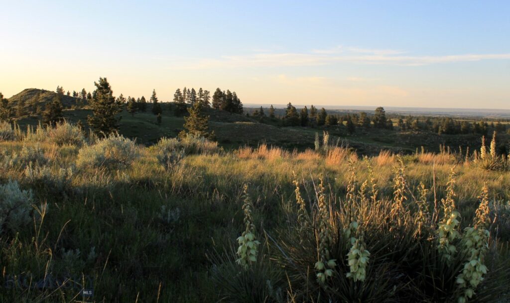 TBD Lone Rock Canyon Lane, Hysham MT 59076