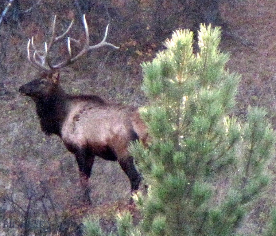 TBD Lone Rock Canyon Lane, Hysham MT 59076