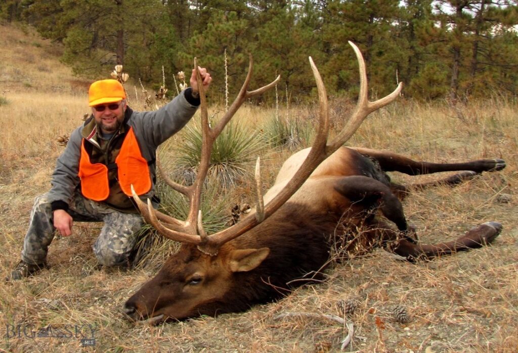 TBD Lone Rock Canyon Lane, Hysham MT 59076