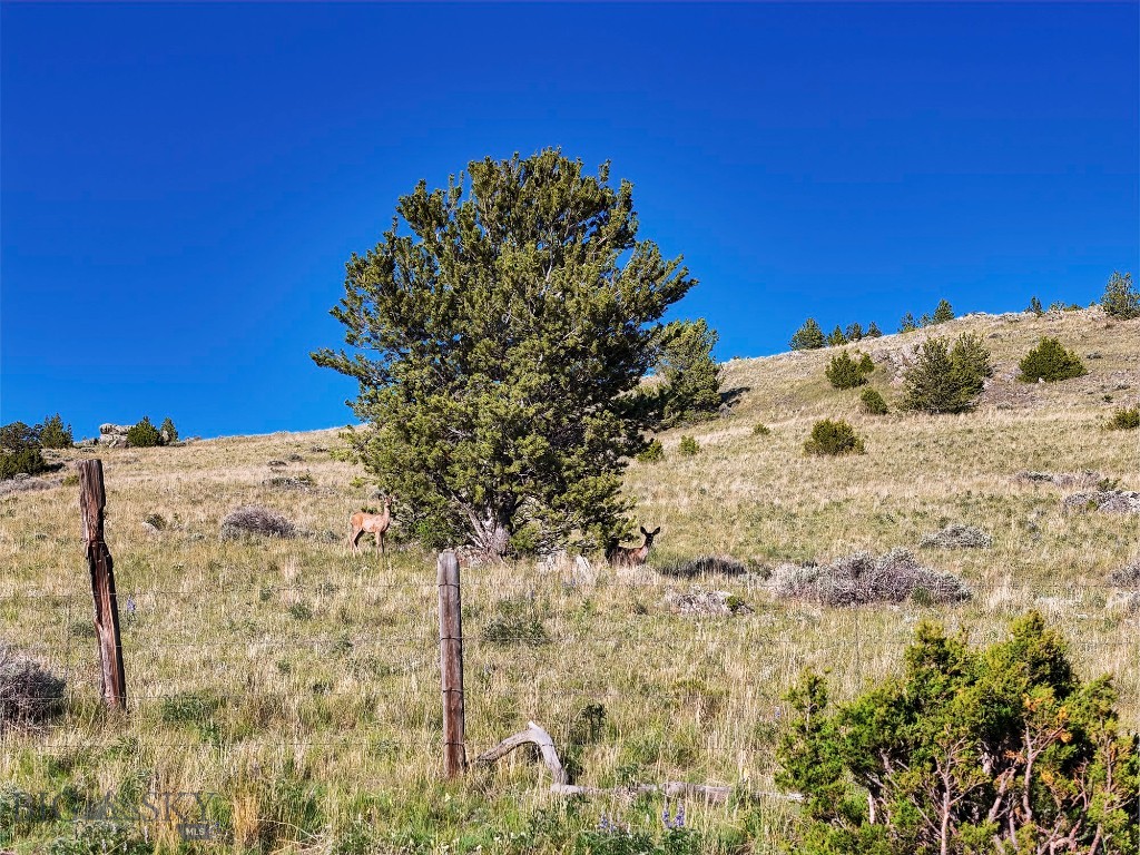 Lost Heart Ranch 234 N Ennis Lake Road, McAllister MT 59740