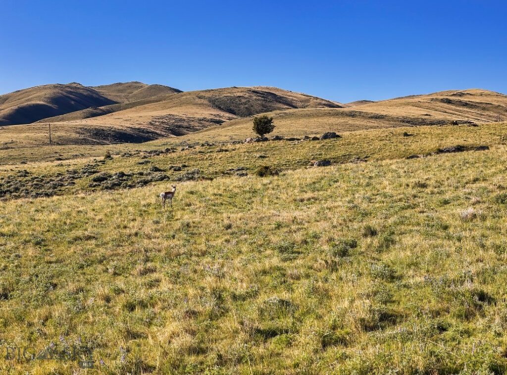 Lost Heart Ranch 234 N Ennis Lake Road, McAllister MT 59740