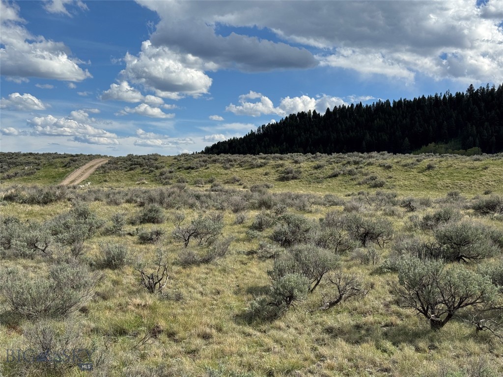 Lot 1 Sun Eagle Rd. Sundance Bench N, Cameron MT 59720