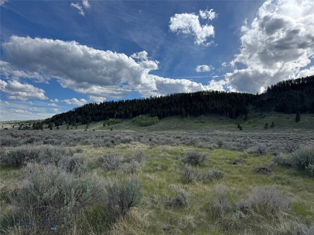 Lot 1 Sun Eagle Rd. Sundance Bench N, Cameron MT 59720