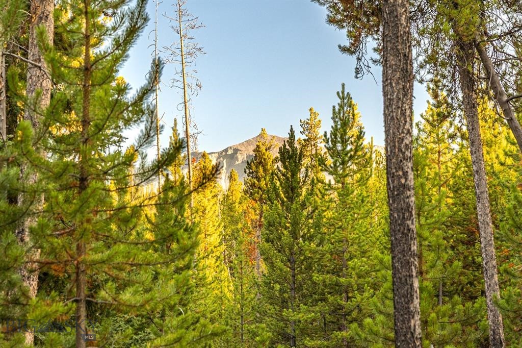 TBD Lot #10 Herring Flats Road, Anaconda MT 59701