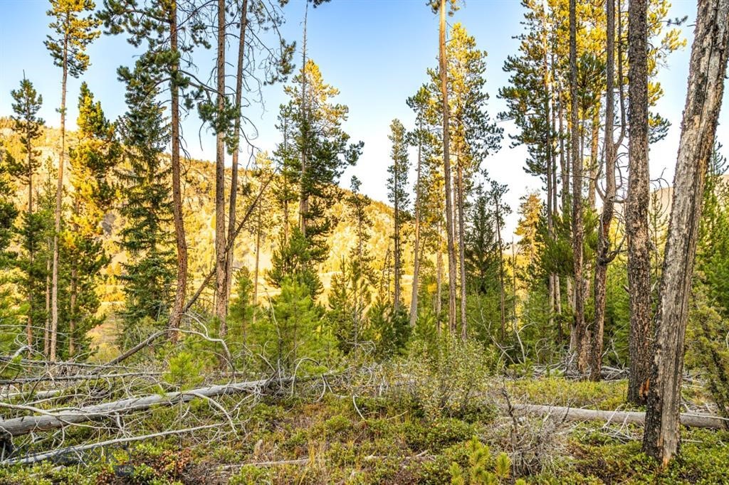 TBD Lot #10 Herring Flats Road, Anaconda MT 59701