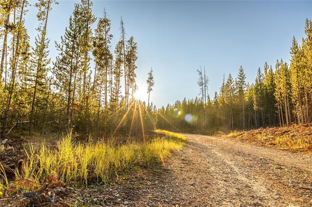 TBD Lot #10 Herring Flats Road, Anaconda MT 59701