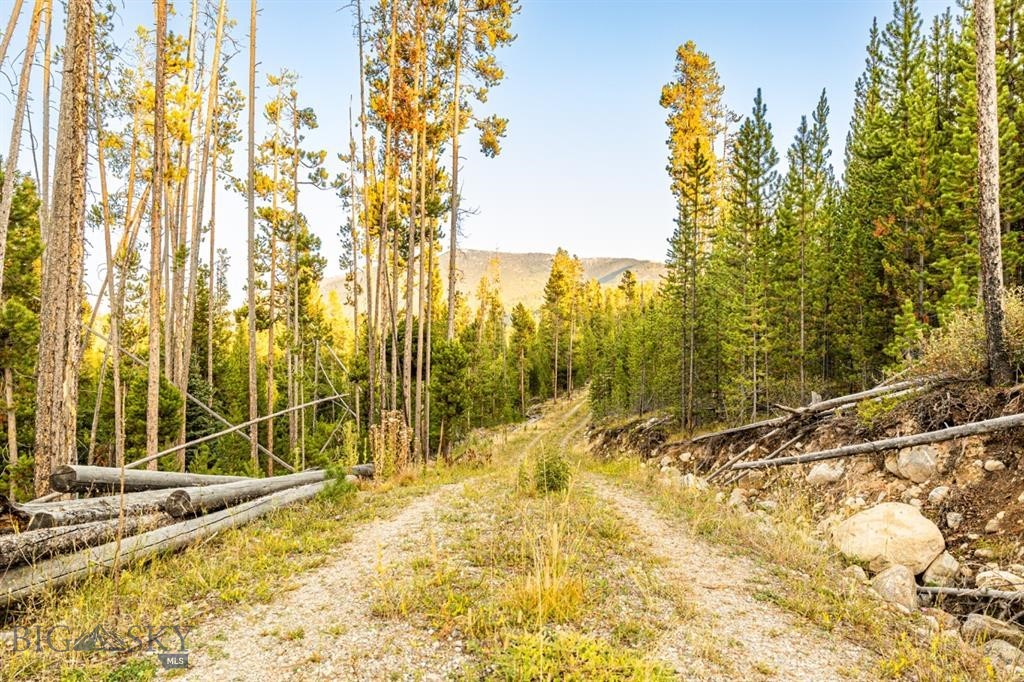 TBD Lot #10 Herring Flats Road, Anaconda MT 59701