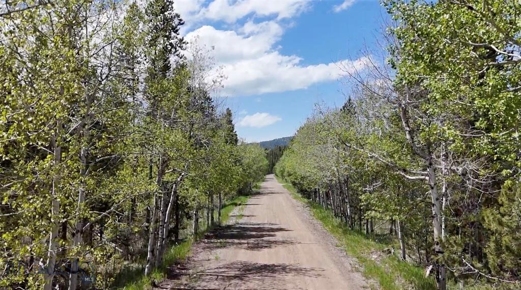 TBD Lot #10 Herring Flats Road, Anaconda MT 59701