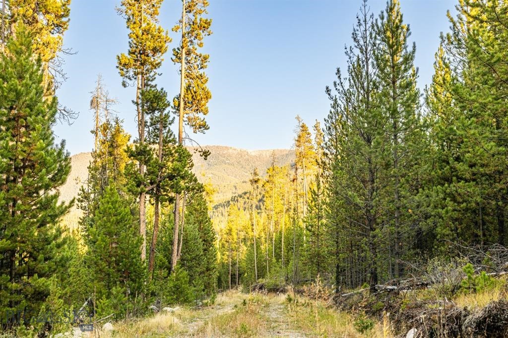 TBD Lot #10 Herring Flats Road, Anaconda MT 59701