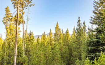 TBD Lot #10 Herring Flats Road, Anaconda MT 59701