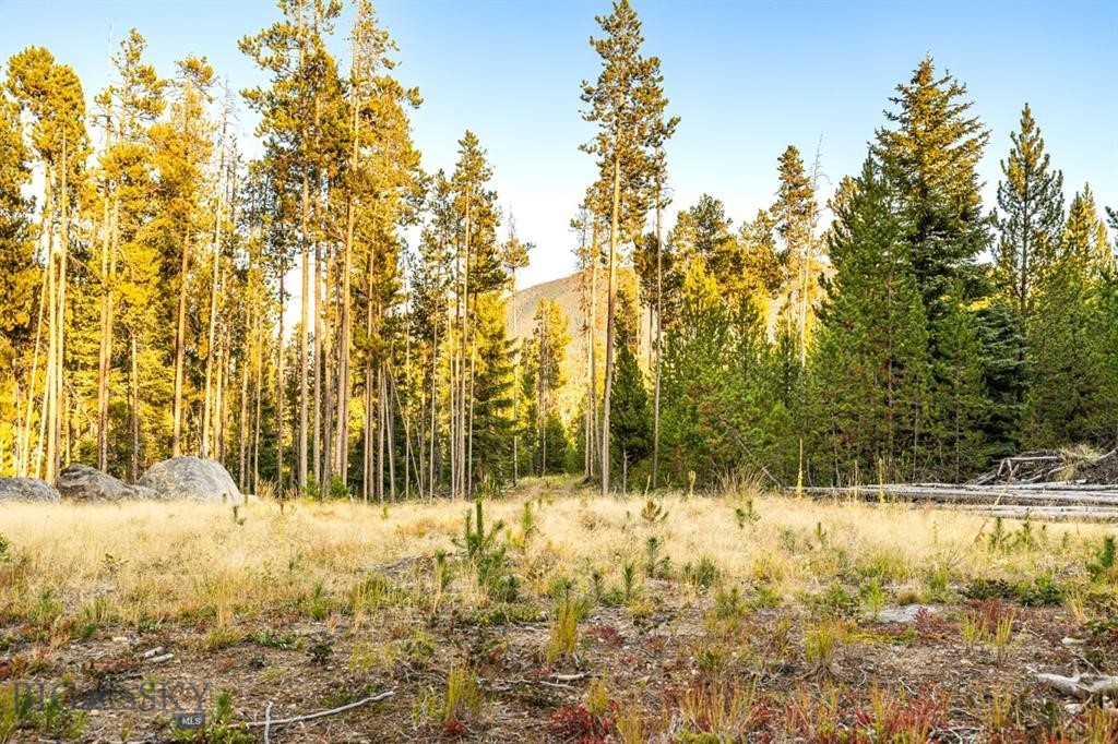 TBD Lot #10 Herring Flats Road, Anaconda MT 59701