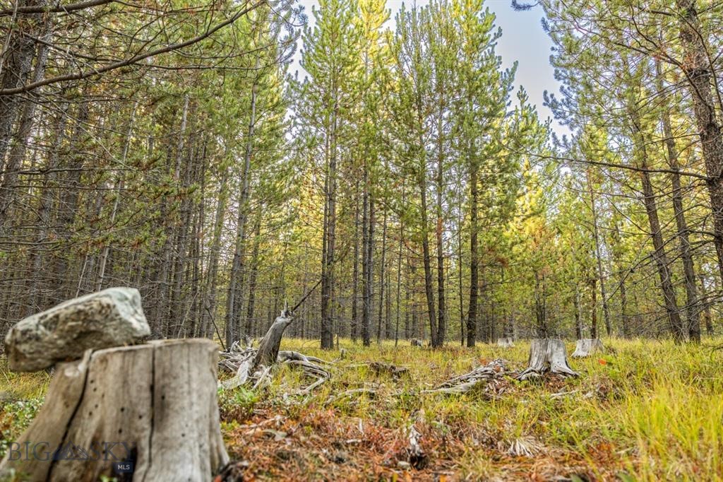 TBD Lot #10 Herring Flats Road, Anaconda MT 59701