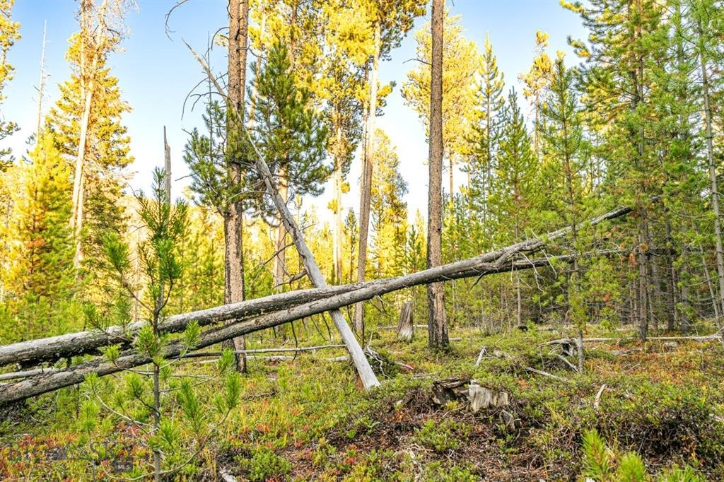 TBD Lot #10 Herring Flats Road, Anaconda MT 59701