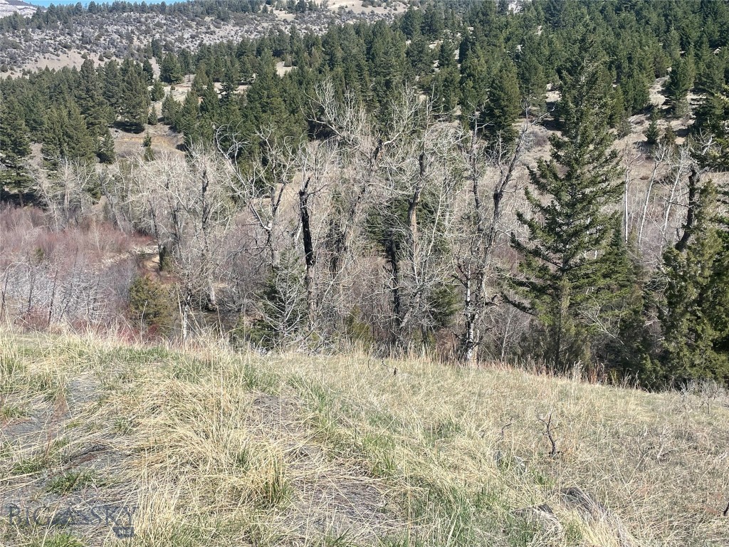 Lot 11 So. Boulder Rd, Cardwell MT 59721