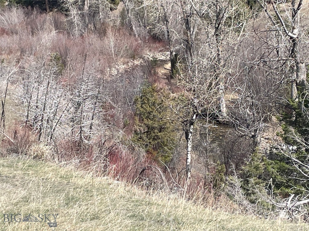 Lot 11 So. Boulder Rd, Cardwell MT 59721