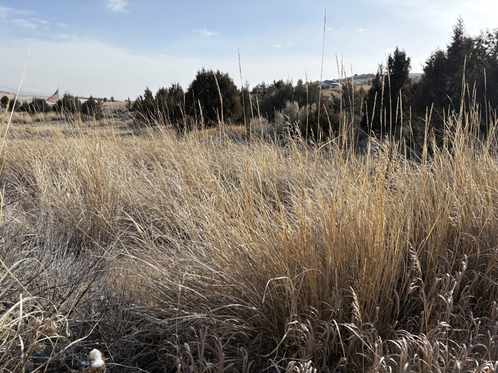 Lot 171 Dry Creek Trail, Ennis MT 59729