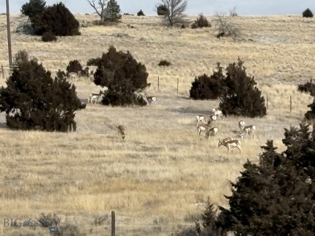 Lot 171 Dry Creek Trail, Ennis MT 59729