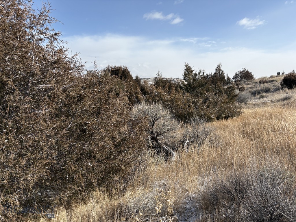 Lot 171 Dry Creek Trail, Ennis MT 59729