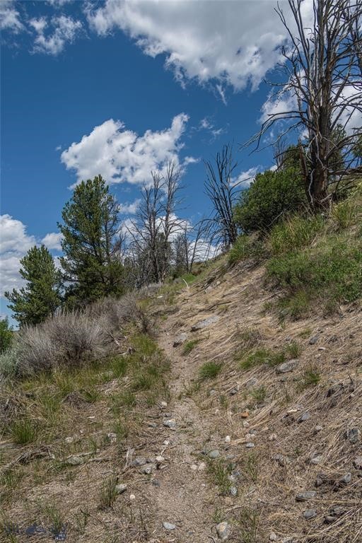 Lot 2-B Uline Bench Highway, Cameron MT 59720