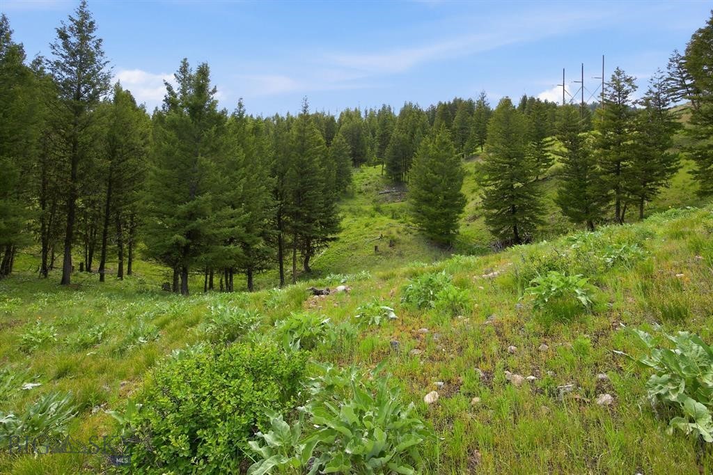 Lot 3 Big Waters Ranch Road, Seeley Lake MT 59868