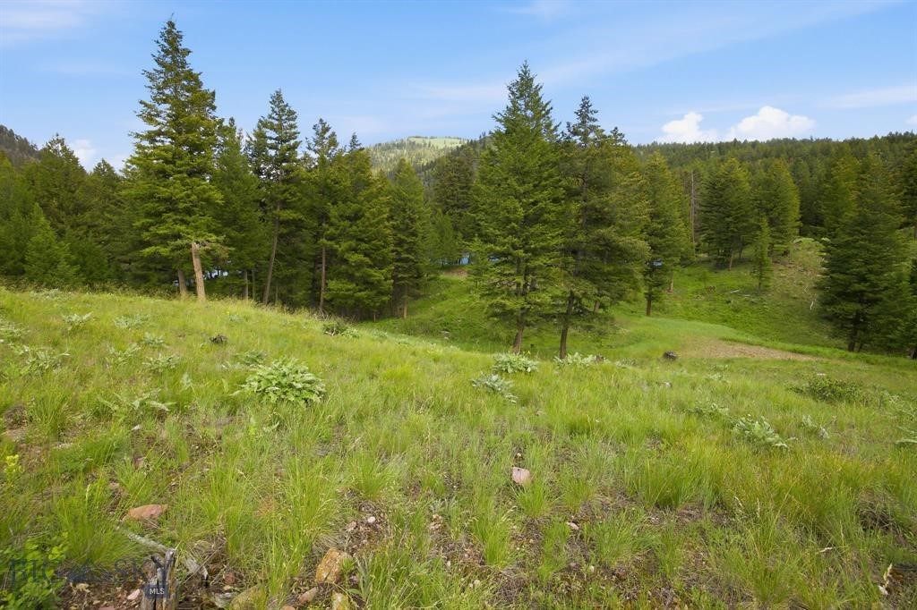 Lot 3 Big Waters Ranch Road, Seeley Lake MT 59868