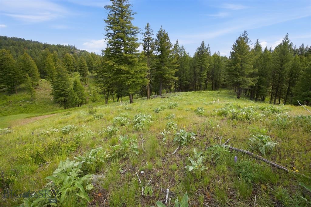 Lot 3 Big Waters Ranch Road, Seeley Lake MT 59868