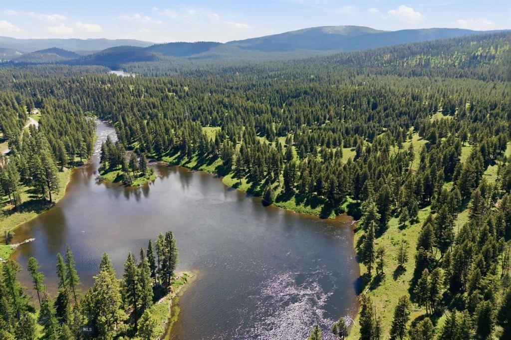 Lot 3 Big Waters Ranch Road, Seeley Lake MT 59868