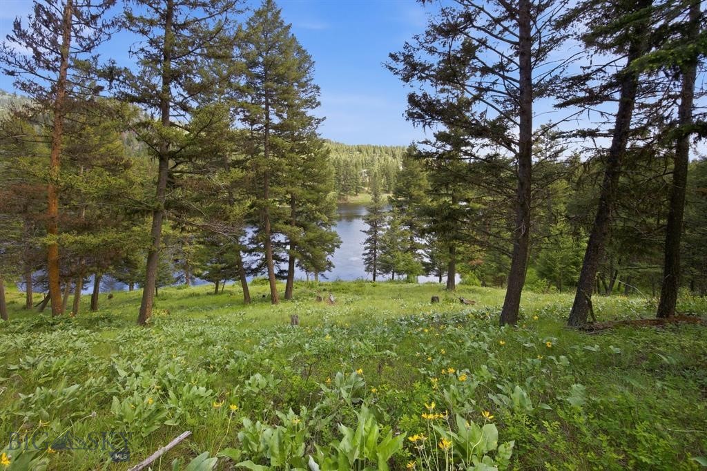 Lot 3 Big Waters Ranch Road, Seeley Lake MT 59868