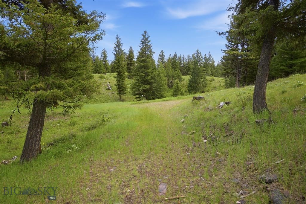 Lot 3 Big Waters Ranch Road, Seeley Lake MT 59868