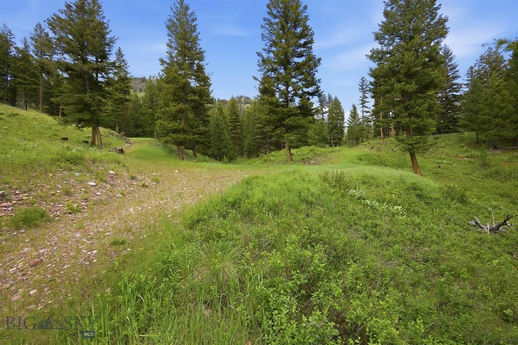 Lot 3 Big Waters Ranch Road, Seeley Lake MT 59868