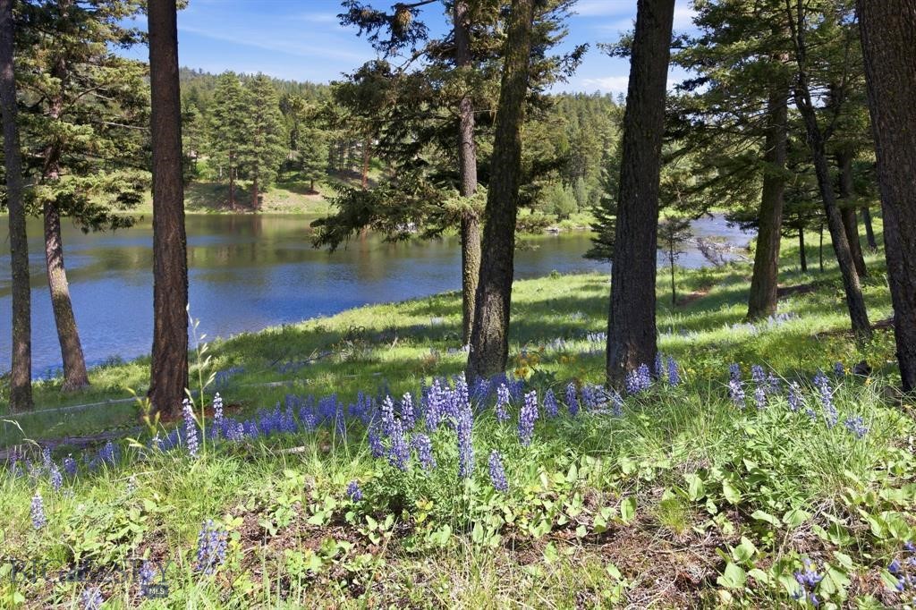 Lot 3 Big Waters Ranch Road, Seeley Lake MT 59868