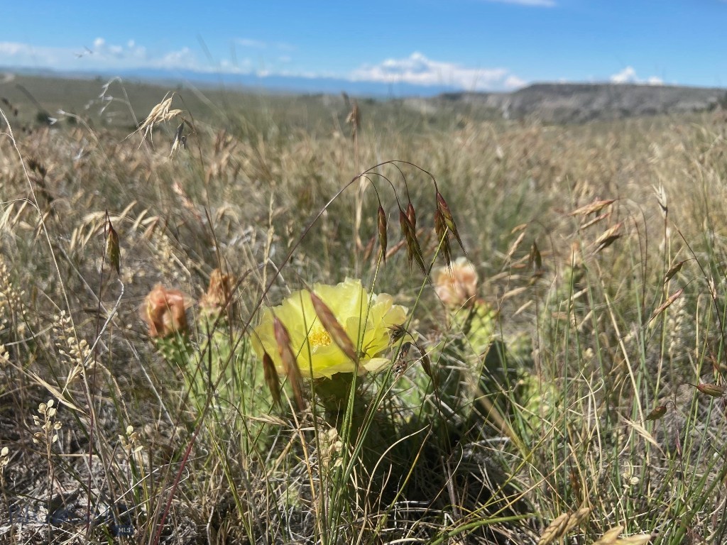 Lot 33 & 39 Gallatin River Ranch, Manhattan MT 59741