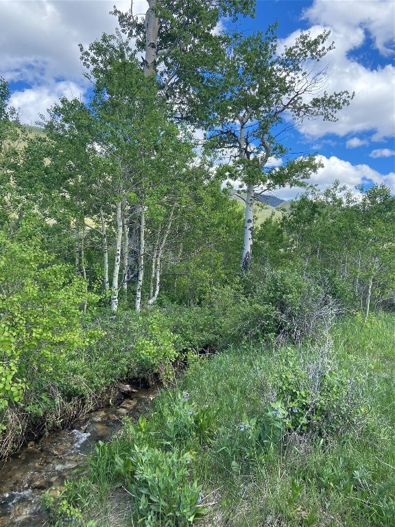 Lot 39B Sportsman’s Paradise, Cameron MT 59720