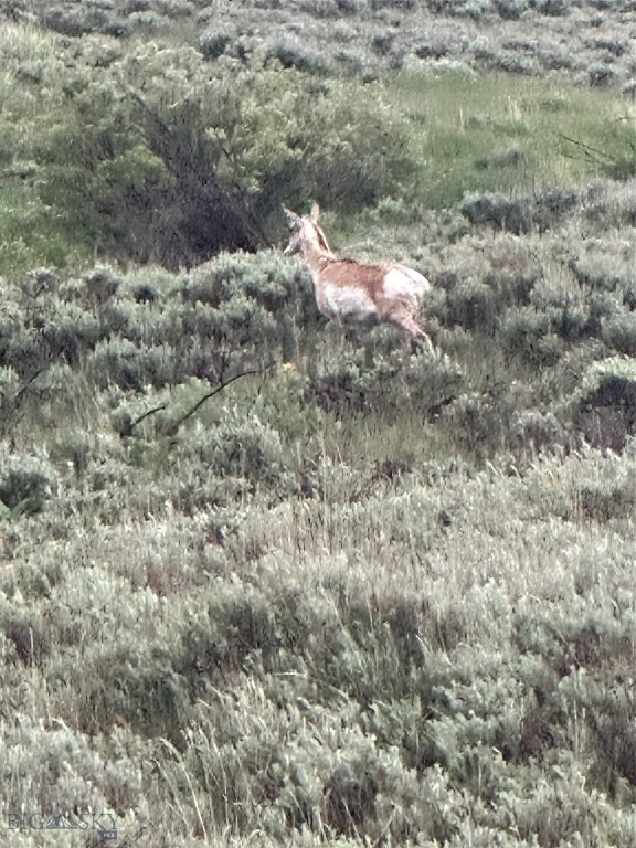 Lot 39B Sportsman’s Paradise, Cameron MT 59720