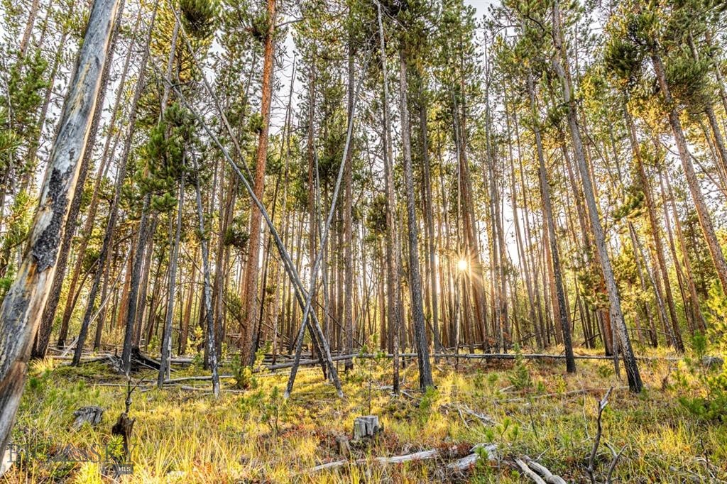 TBD Lot #6 Herring Flats Road, Anaconda MT 59701