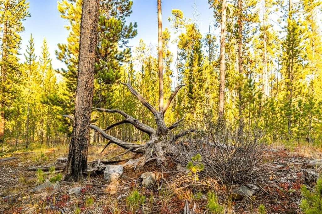 TBD Lot #6 Herring Flats Road, Anaconda MT 59701