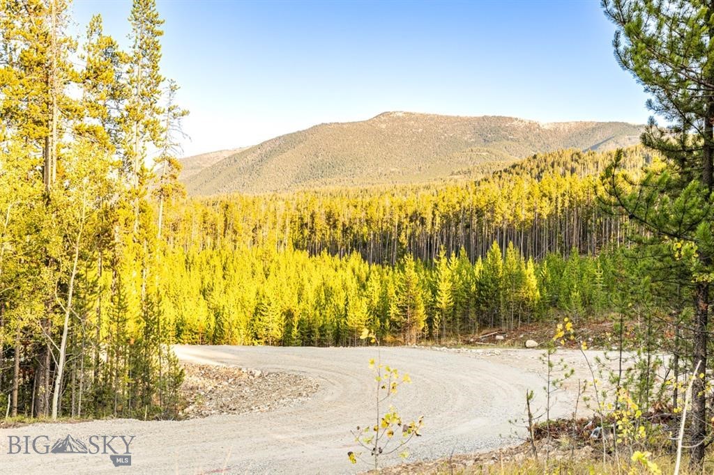 TBD Lot #6 Herring Flats Road, Anaconda MT 59701