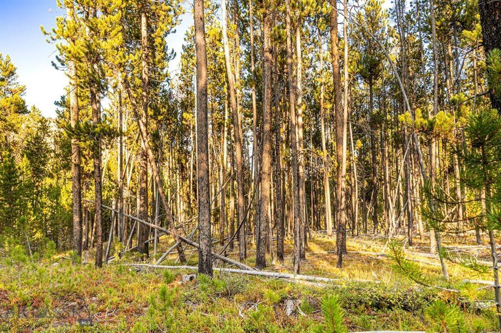 TBD Lot #6 Herring Flats Road, Anaconda MT 59701