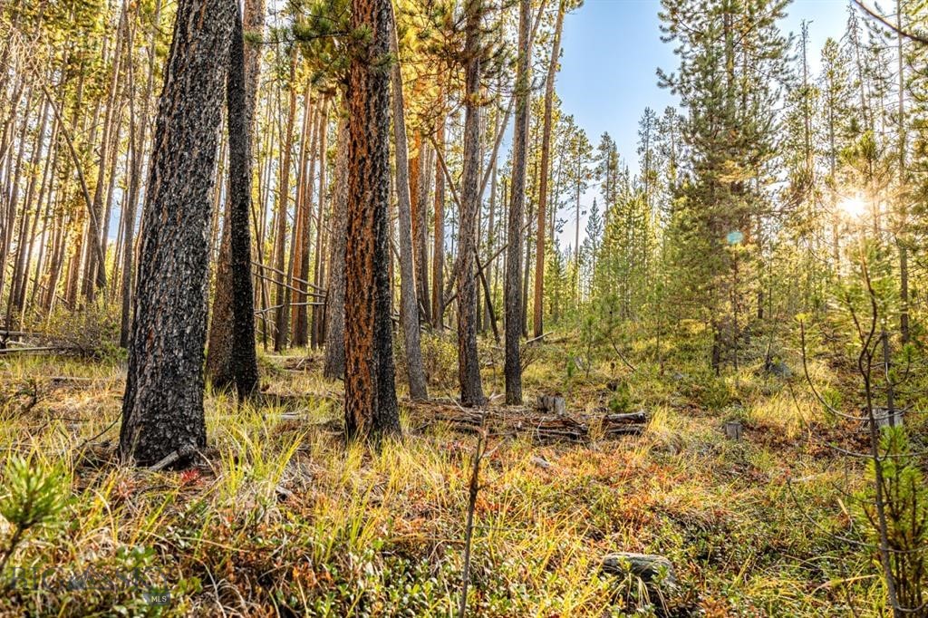 TBD Lot #6 Herring Flats Road, Anaconda MT 59701