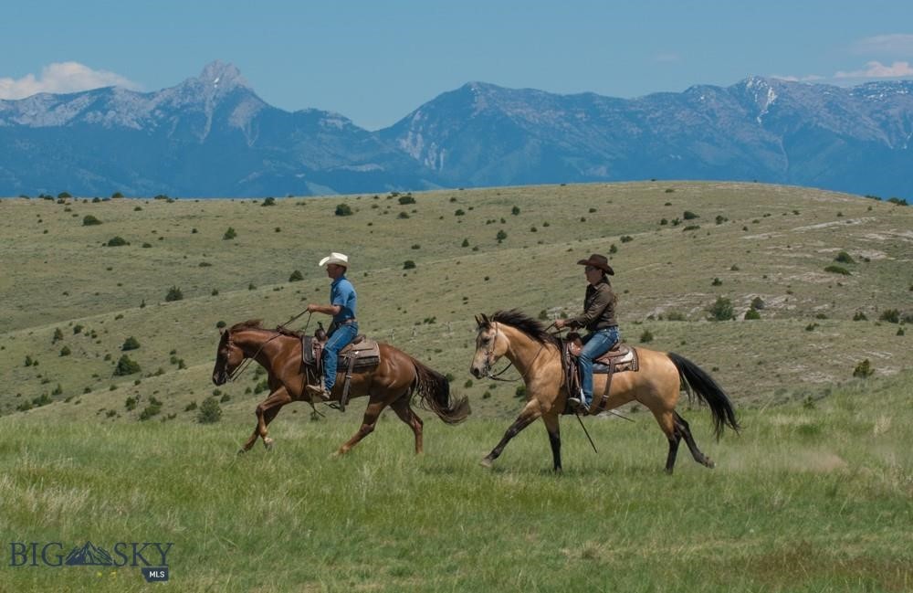 Lot 94 TBD Nixon Gulch Road, Manhattan MT 59741