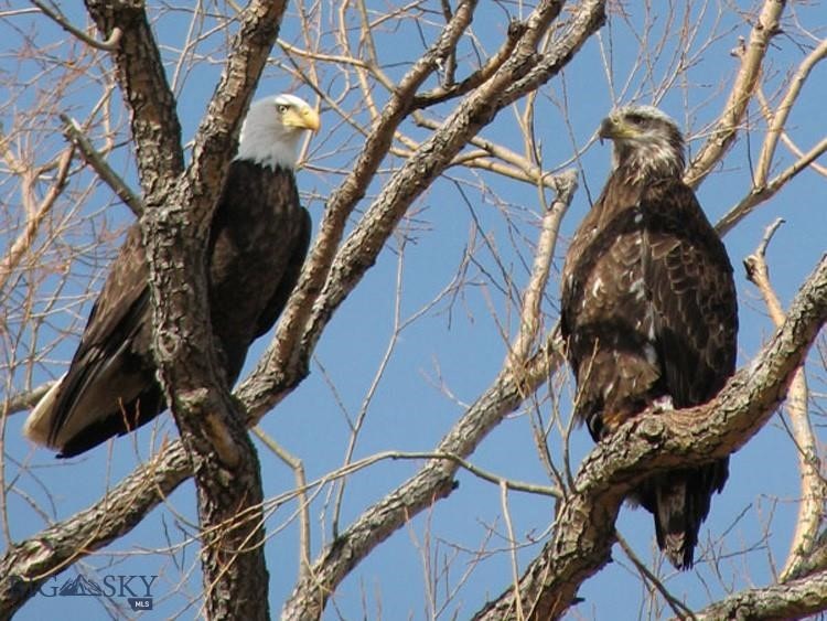 Lot 94 TBD Nixon Gulch Road, Manhattan MT 59741