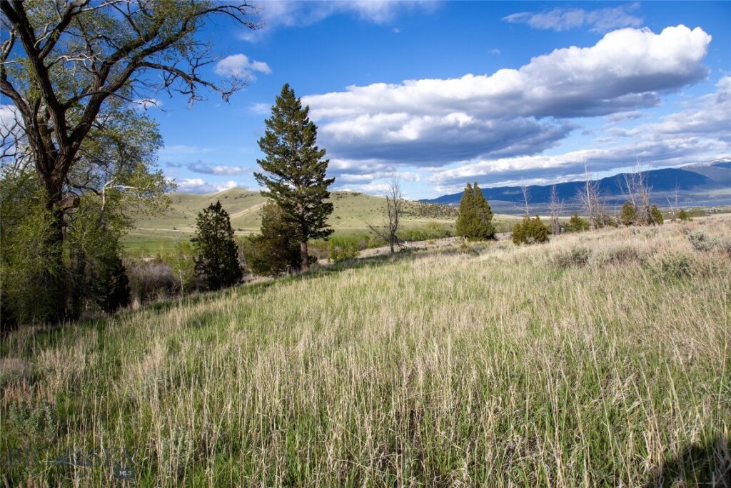 Lots 4 & 5 Wey’s View, McAllister MT 59740