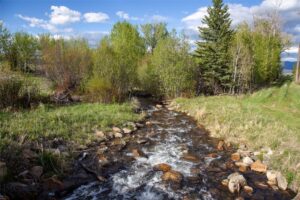 Lots 4 & 5 Wey's View