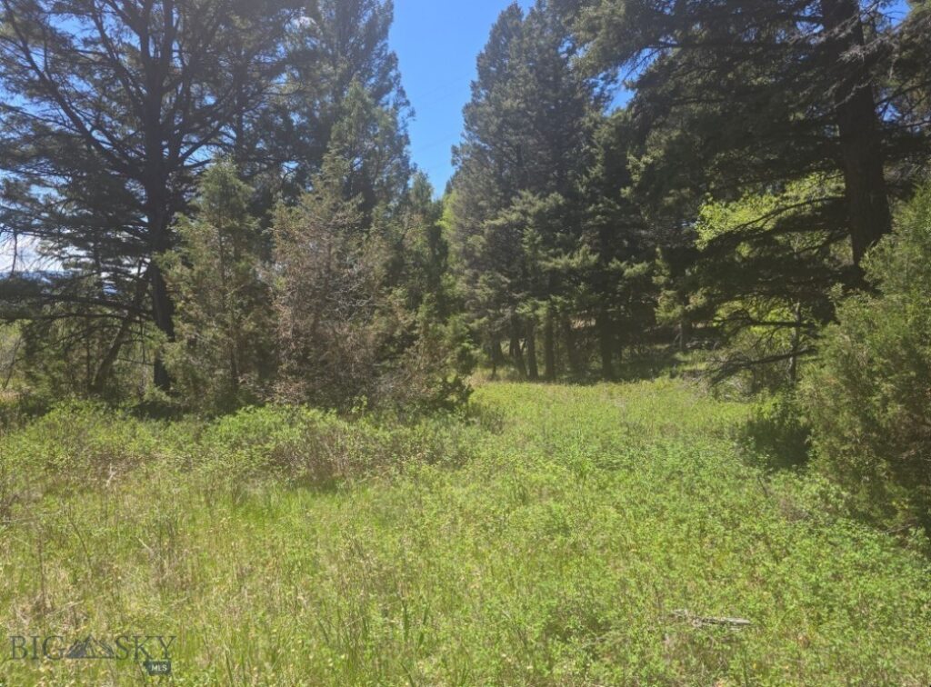 TBD Powerline Road, Boulder MT 59632
