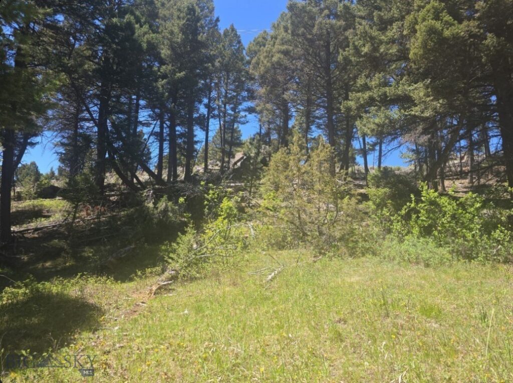 TBD Powerline Road, Boulder MT 59632