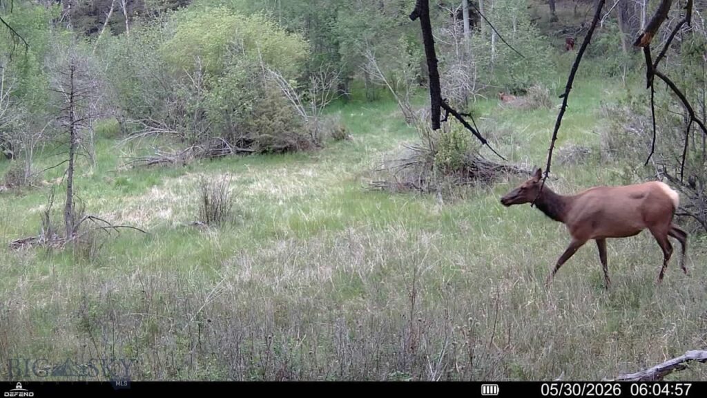 TBD Powerline Road, Boulder MT 59632