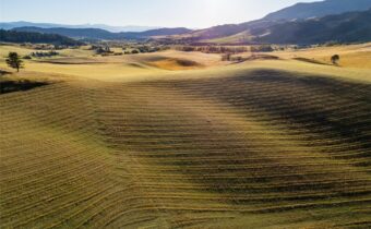 , Bozeman MT 59715